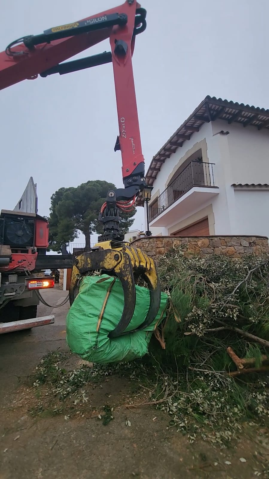 Retirada de restes vegetals i neteja de jardí